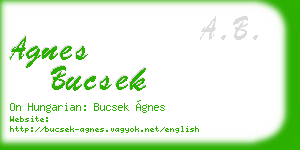 agnes bucsek business card