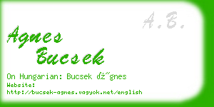 agnes bucsek business card